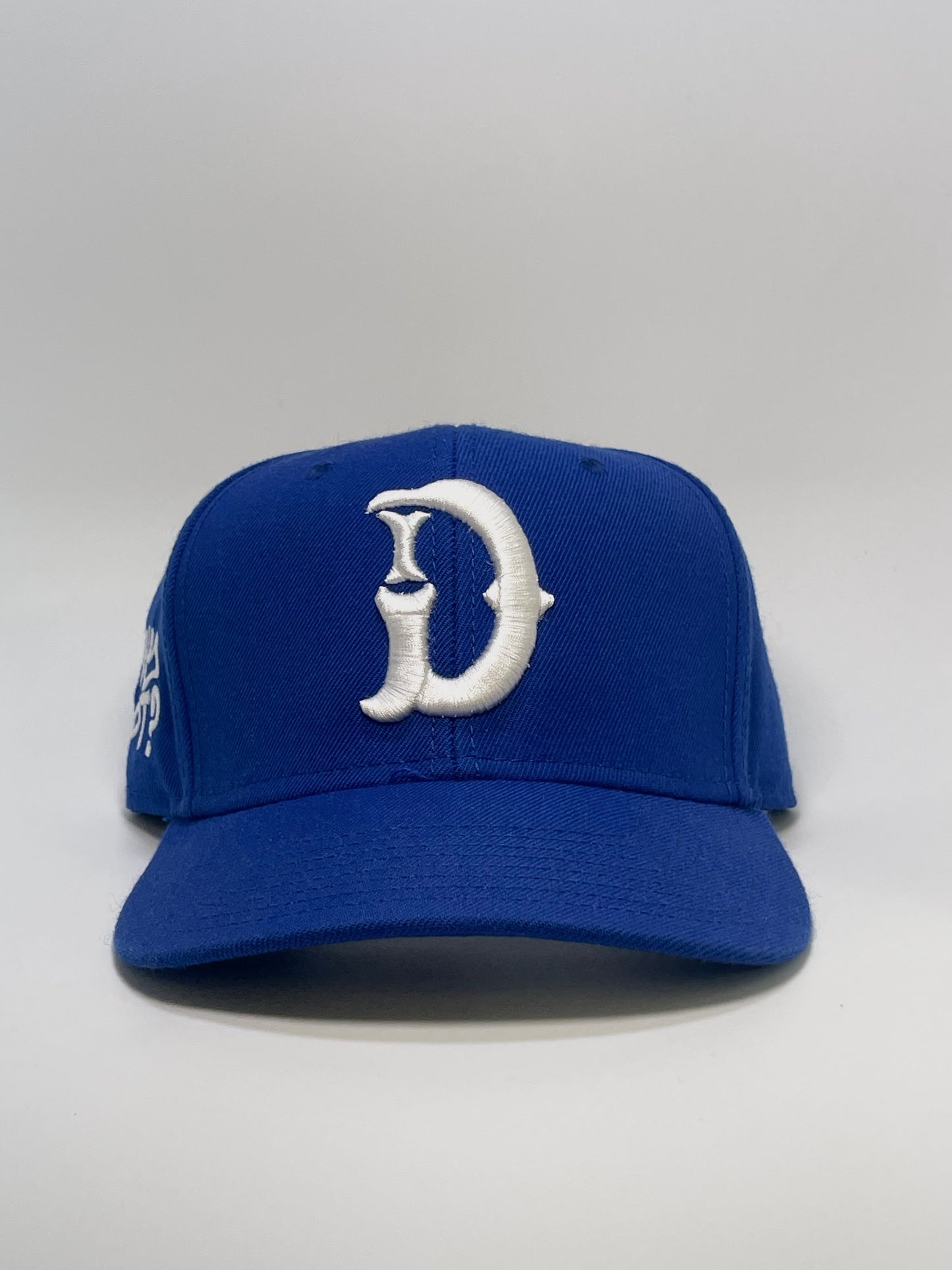 "WHY NOT?" Snapback - BLUE