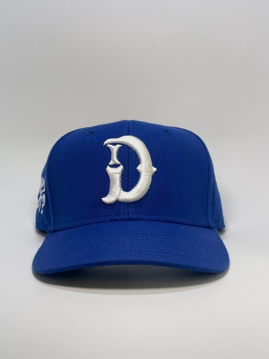 "WHY NOT?" Snapback - BLUE