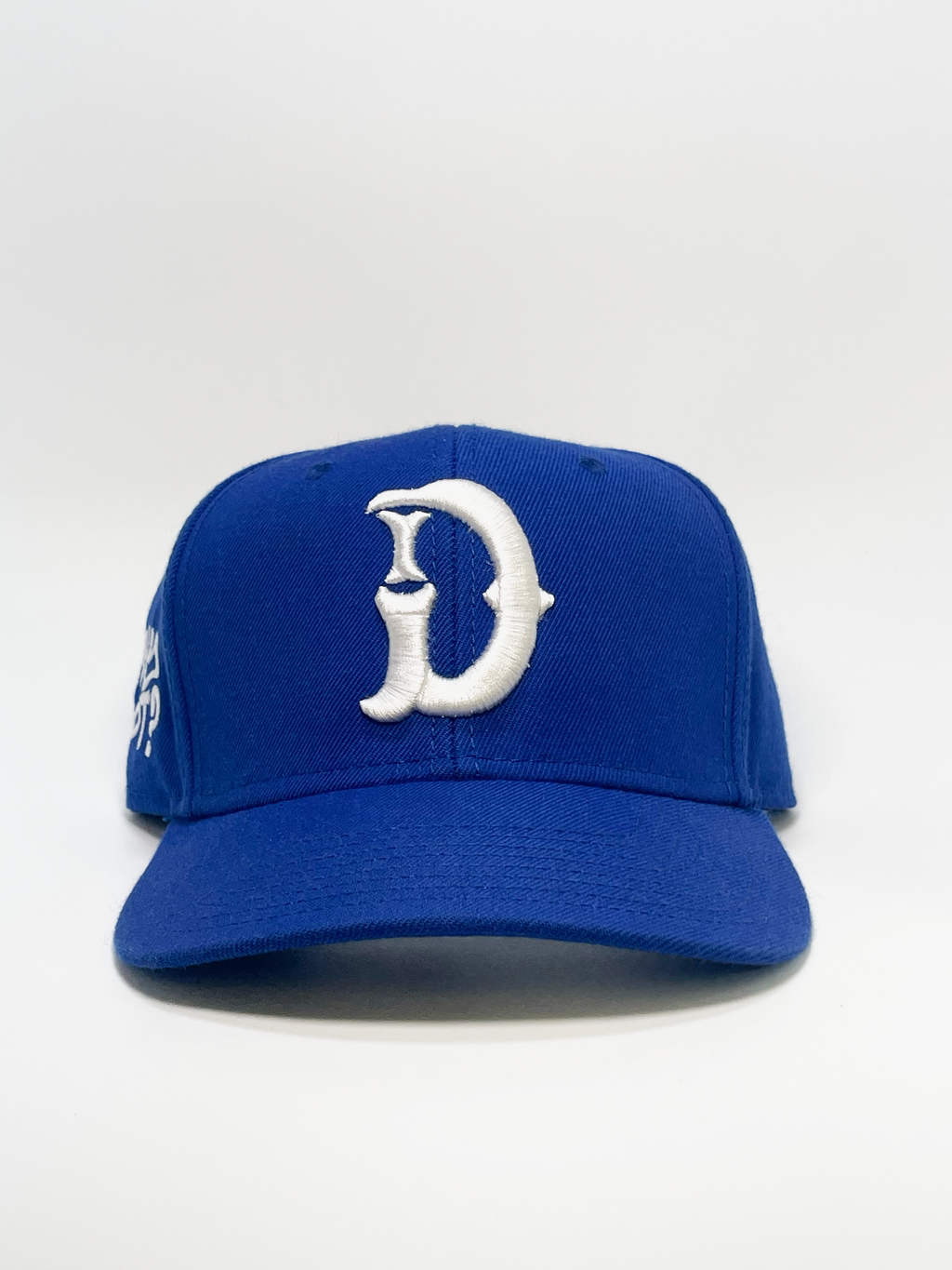 "WHY NOT?" Snapback - BLUE