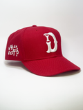 "WHY NOT?" SNAPBACK - RED